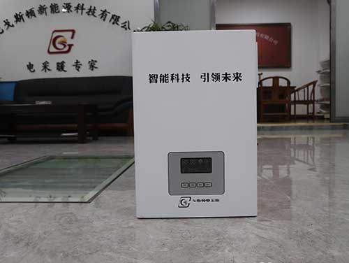 10千萬(wàn)電采暖爐